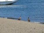 IMG_1614.JPG