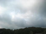 IMG_2540.JPG
