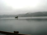 IMG_2543.JPG