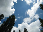 IMG_2689.JPG