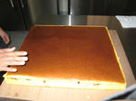 IMG_2587.JPG