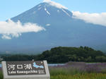 IMG_2806.JPG