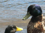 IMG_2832.JPG