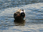 IMG_2830.JPG