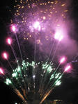 IMG_2944.JPG