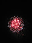 IMG_2990.JPG