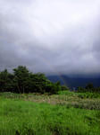 100812_065259.jpg