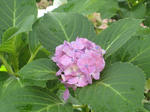 IMG_3072.JPG