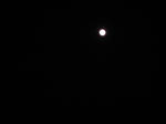 IMG_3066.JPG