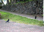 IMG_3047.JPG