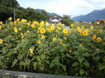 100813_064743.jpg