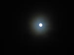 IMG_3189.JPG