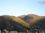IMG_3208.JPG