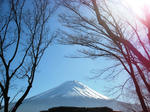 IMG_3297.JPG