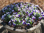 IMG_3296.JPG