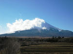 IMG_3325.JPG