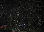 IMG_3349.JPG