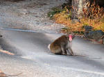 IMG_3343.JPG