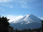 IMG_3352.JPG