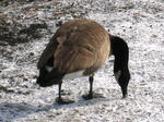 IMG_3361.JPG