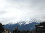 IMG_3378.JPG