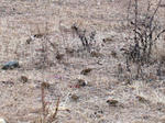 IMG_3379.JPG