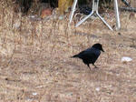 IMG_3380.JPG