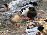 IMG_3386.JPG