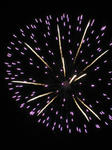IMG_3453.JPG