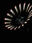 IMG_3456.JPG