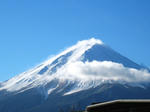 IMG_3463.JPG