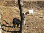 IMG_3400.JPG