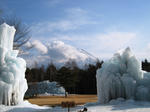 IMG_3496.JPG
