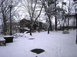 IMG_3530.JPG
