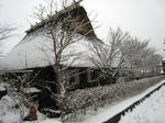 IMG_3534.JPG