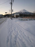 IMG_3588.JPG