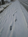 IMG_3590.JPG