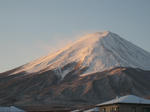 IMG_3595.JPG