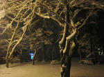 IMG_3603.JPG