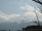 IMG_3623.JPG