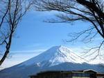 IMG_3835.JPG