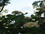 IMG_3989.JPG