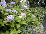 63dba85d.jpg
