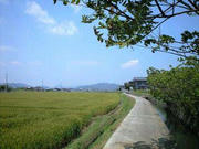 080514_1221~0001.jpg