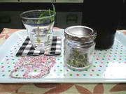 080518_1141~0002.jpg