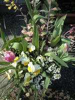 CA3A0366.JPG