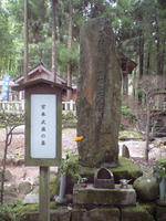 CA3A0423.JPG