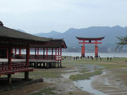 CA3A0725.JPG