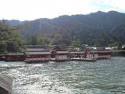 CA3A0733.JPG