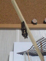 CA3A0928-0001.JPG